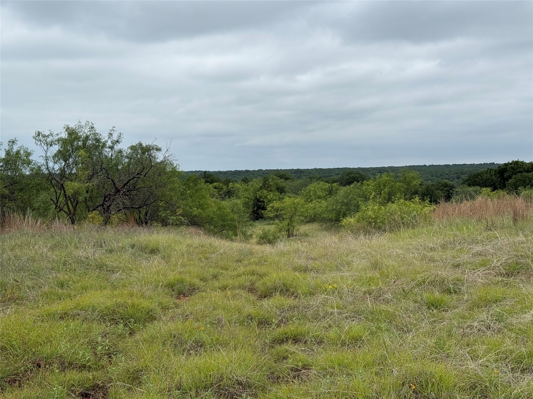 Lot 237 Vista Pointe Drive Chico TX 76431
