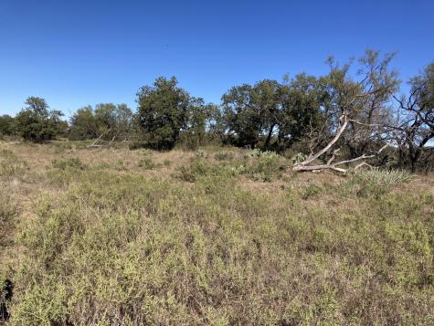 0000 Medlan Chapel Road Graham TX 76450