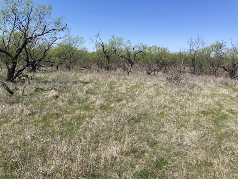 0000 Medlan Chapel Road Graham TX 76450