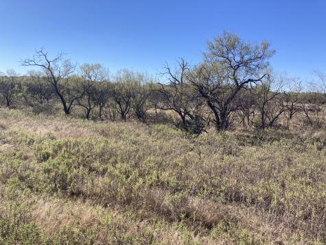 0000 Medlan Chapel Road Graham TX 76450