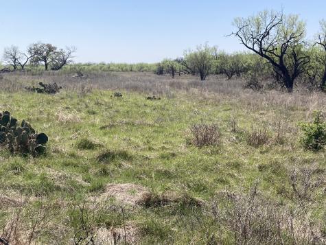 0000 Medlan Chapel Road Graham TX 76450
