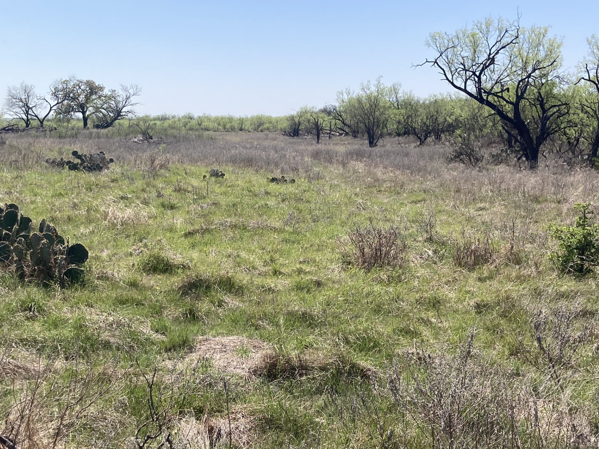 0000 Medlan Chapel Road Graham TX 76450