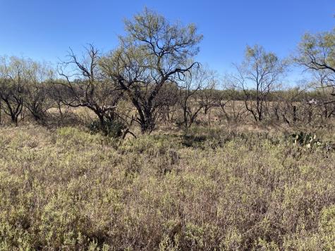 0000 Medlan Chapel Road Graham TX 76450