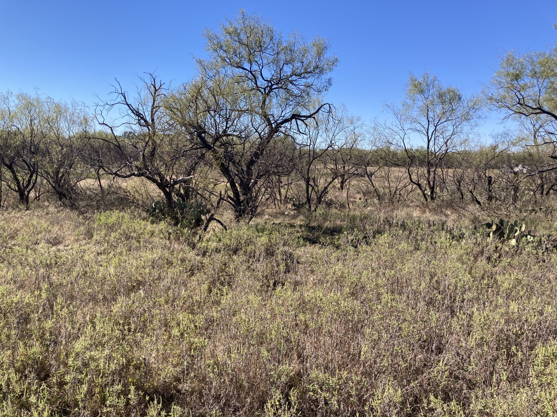 0000 Medlan Chapel Road Graham TX 76450