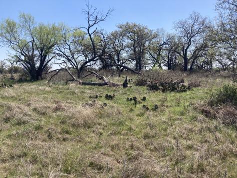 0000 Medlan Chapel Road Graham TX 76450
