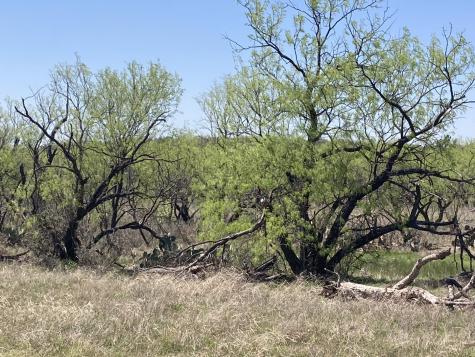 0000 Medlan Chapel Road Graham TX 76450