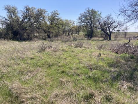0000 Medlan Chapel Road Graham TX 76450