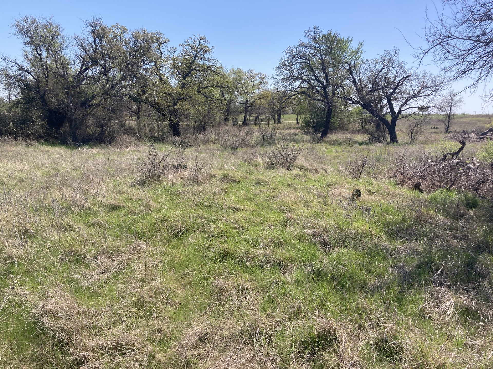 0000 Medlan Chapel Road Graham TX 76450