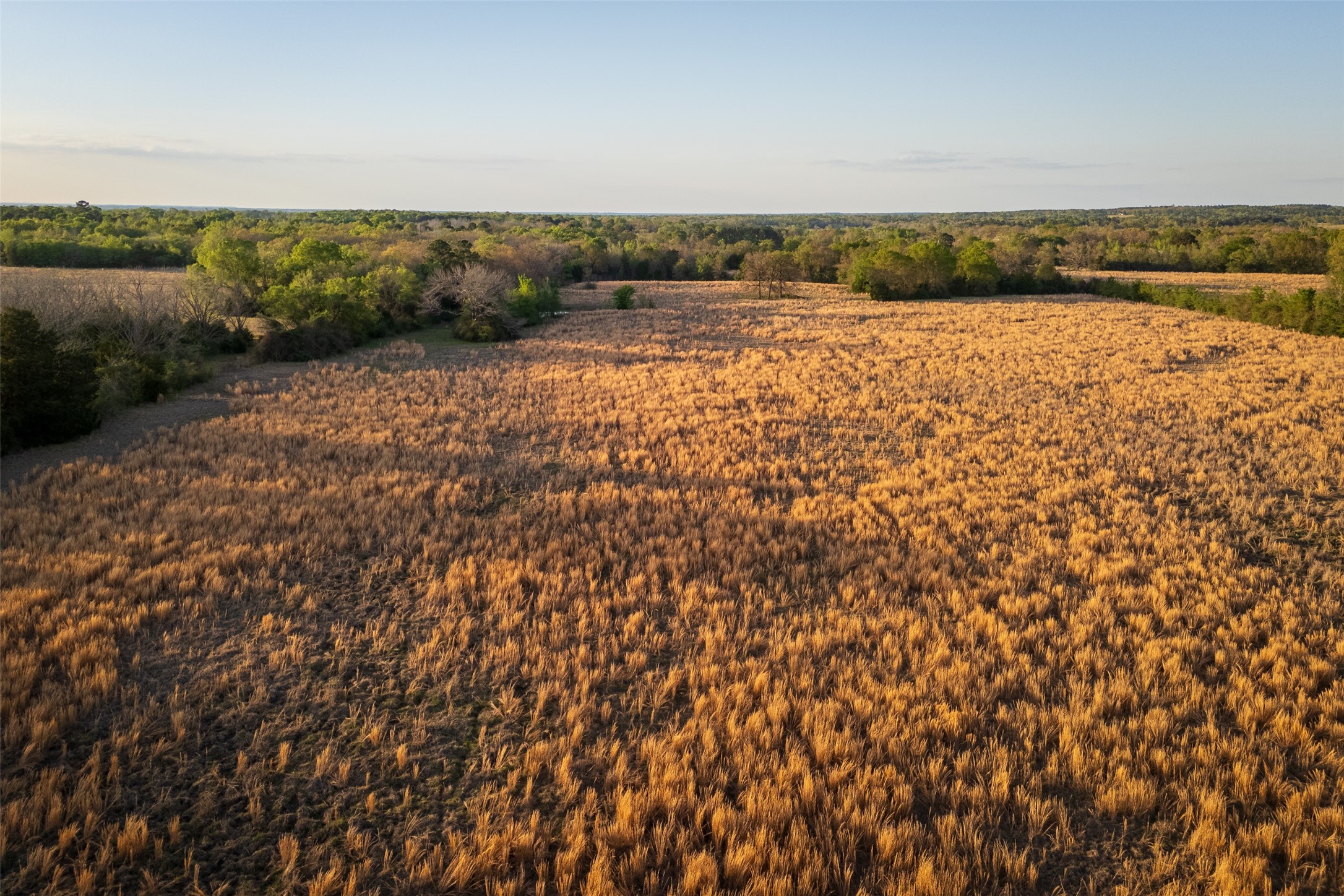 00 County Road 117 Elkhart TX 75839