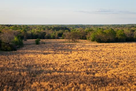 00 County Road 117 Elkhart TX 75839