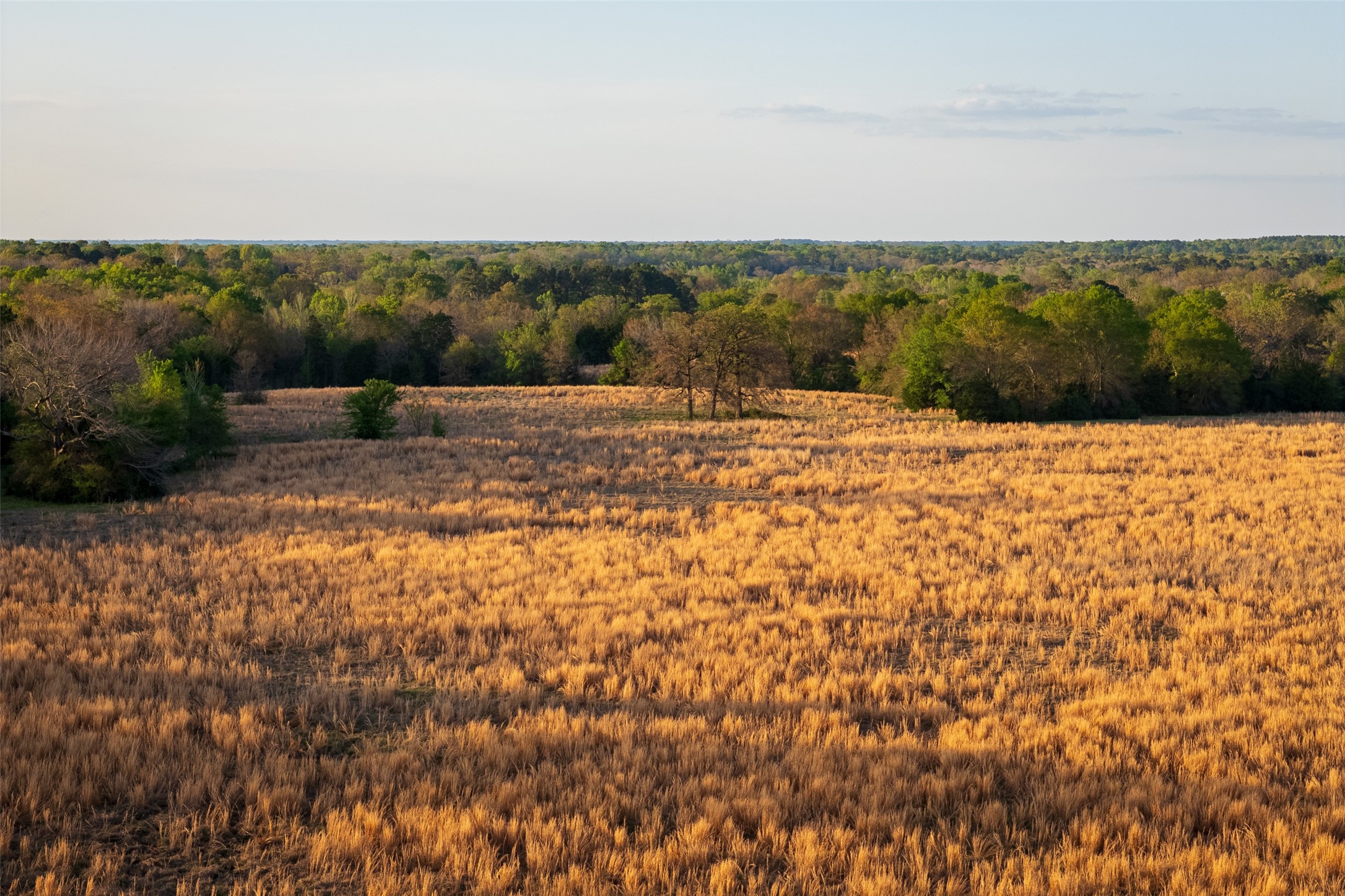 00 County Road 117 Elkhart TX 75839