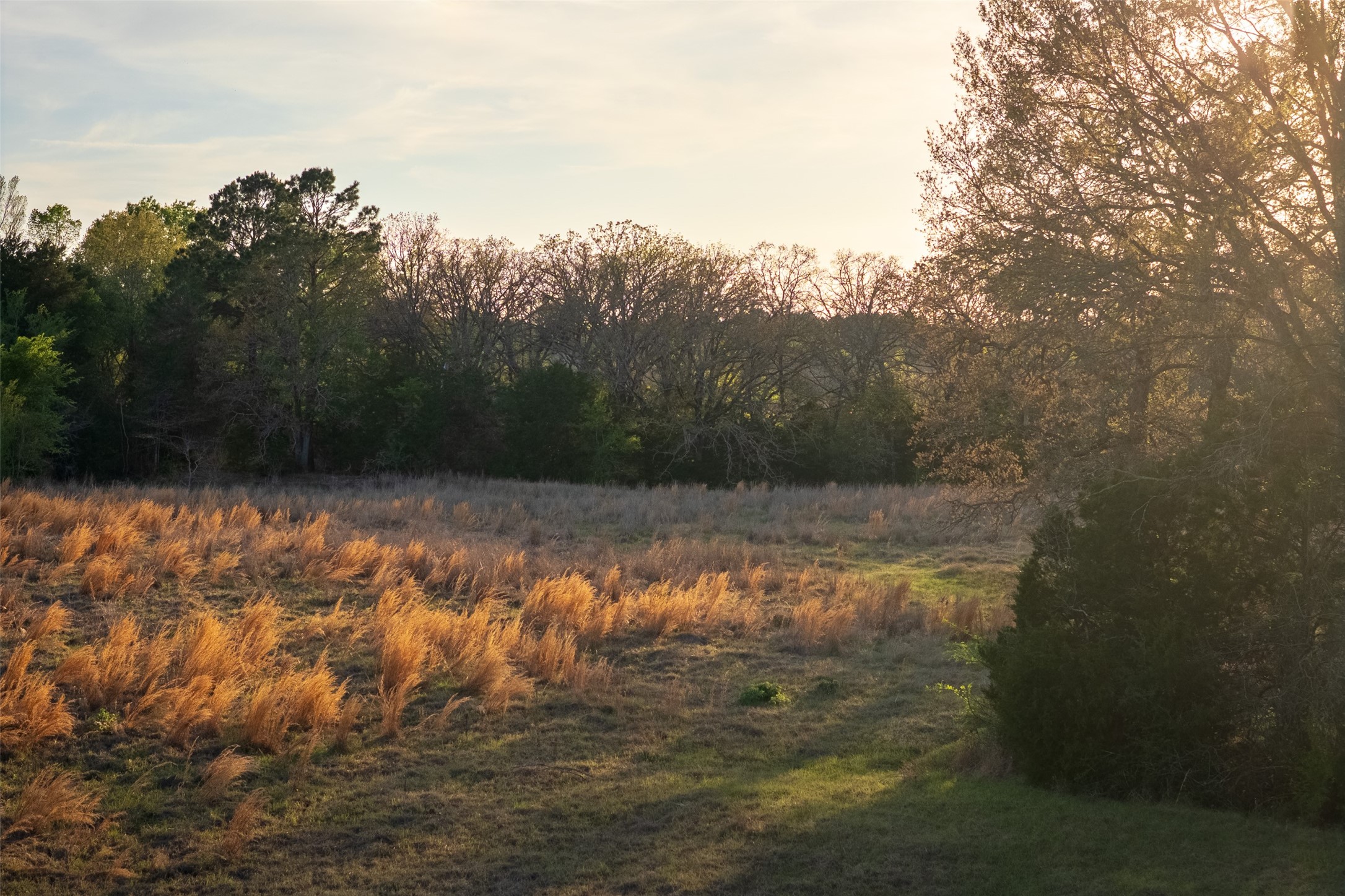 00 County Road 117 Elkhart TX 75839