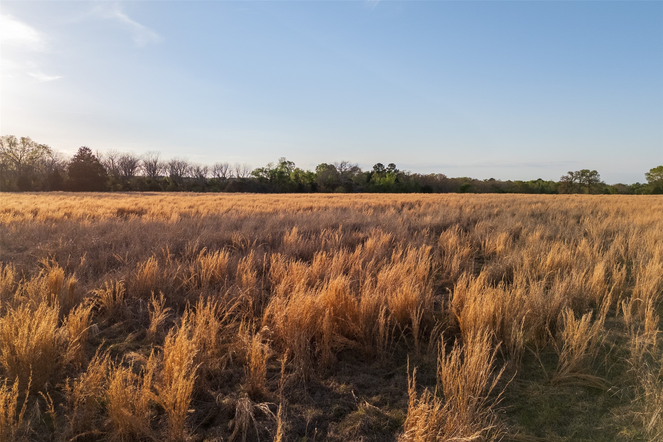 00 County Road 117 Elkhart TX 75839
