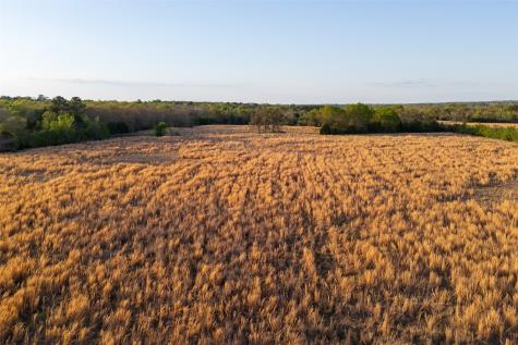 00 County Road 117 Elkhart TX 75839