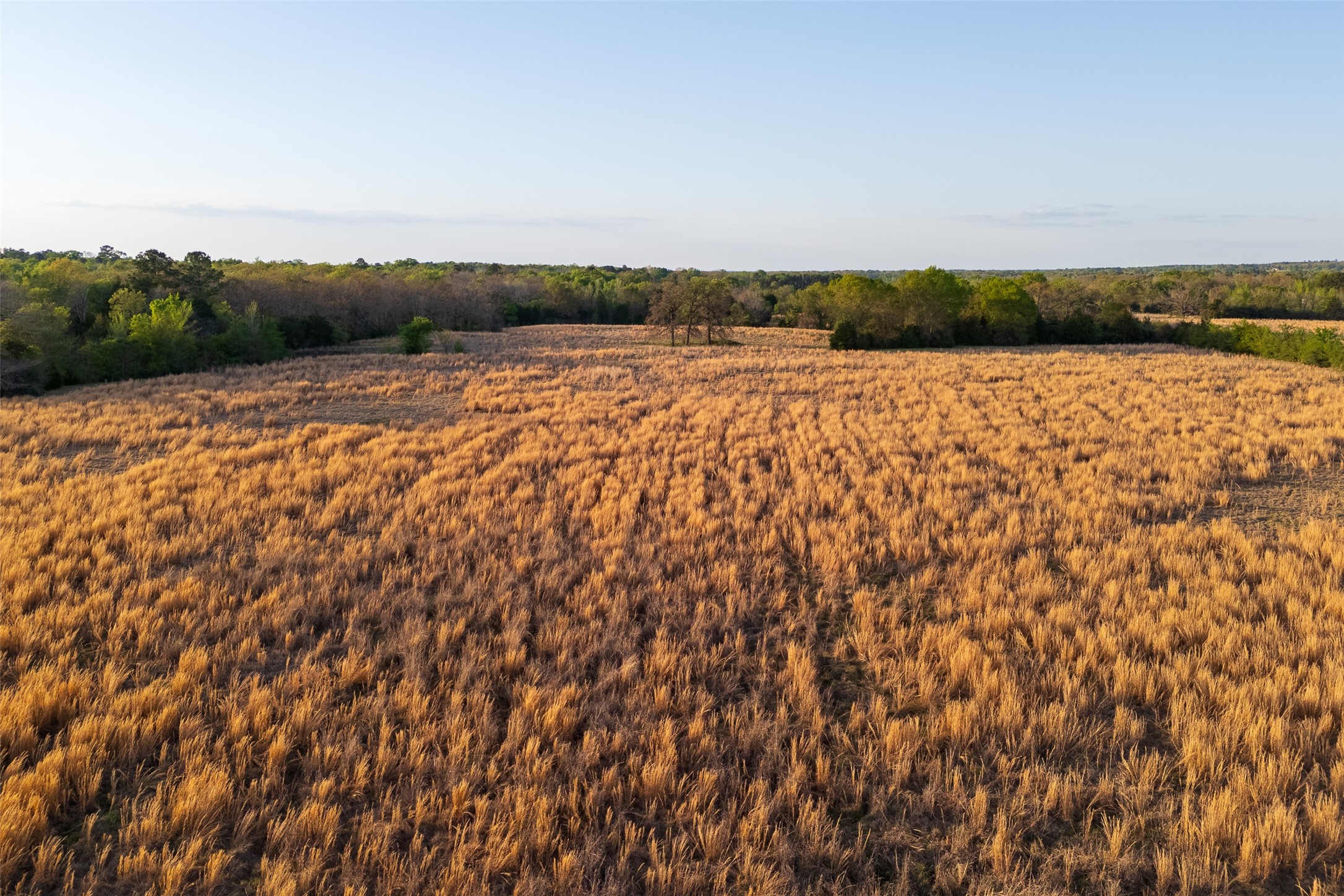 00 County Road 117 Elkhart TX 75839