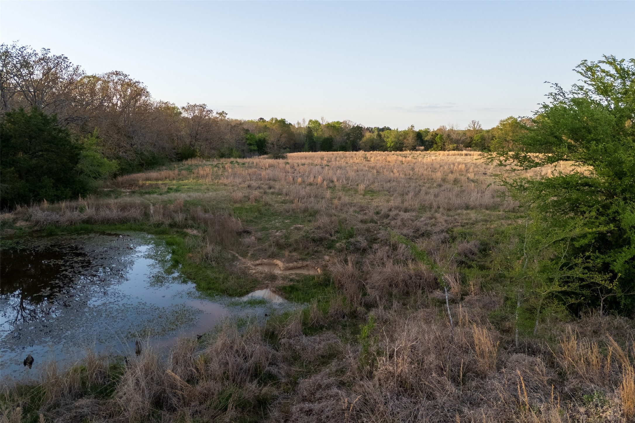 00 County Road 117 Elkhart TX 75839
