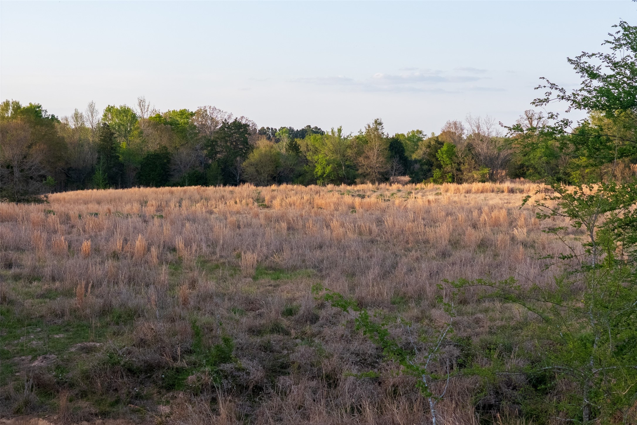 00 County Road 117 Elkhart TX 75839