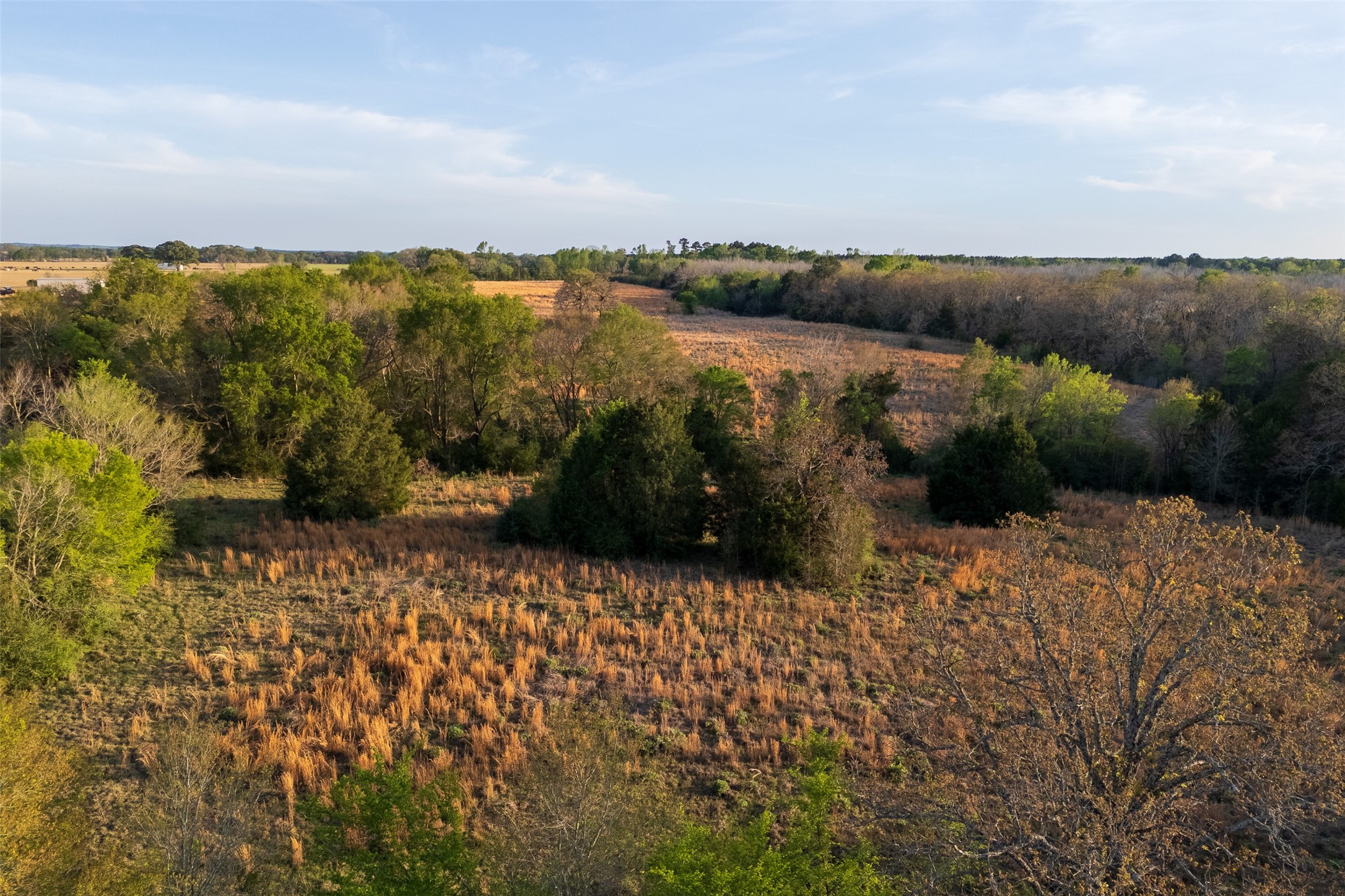 00 County Road 117 Elkhart TX 75839