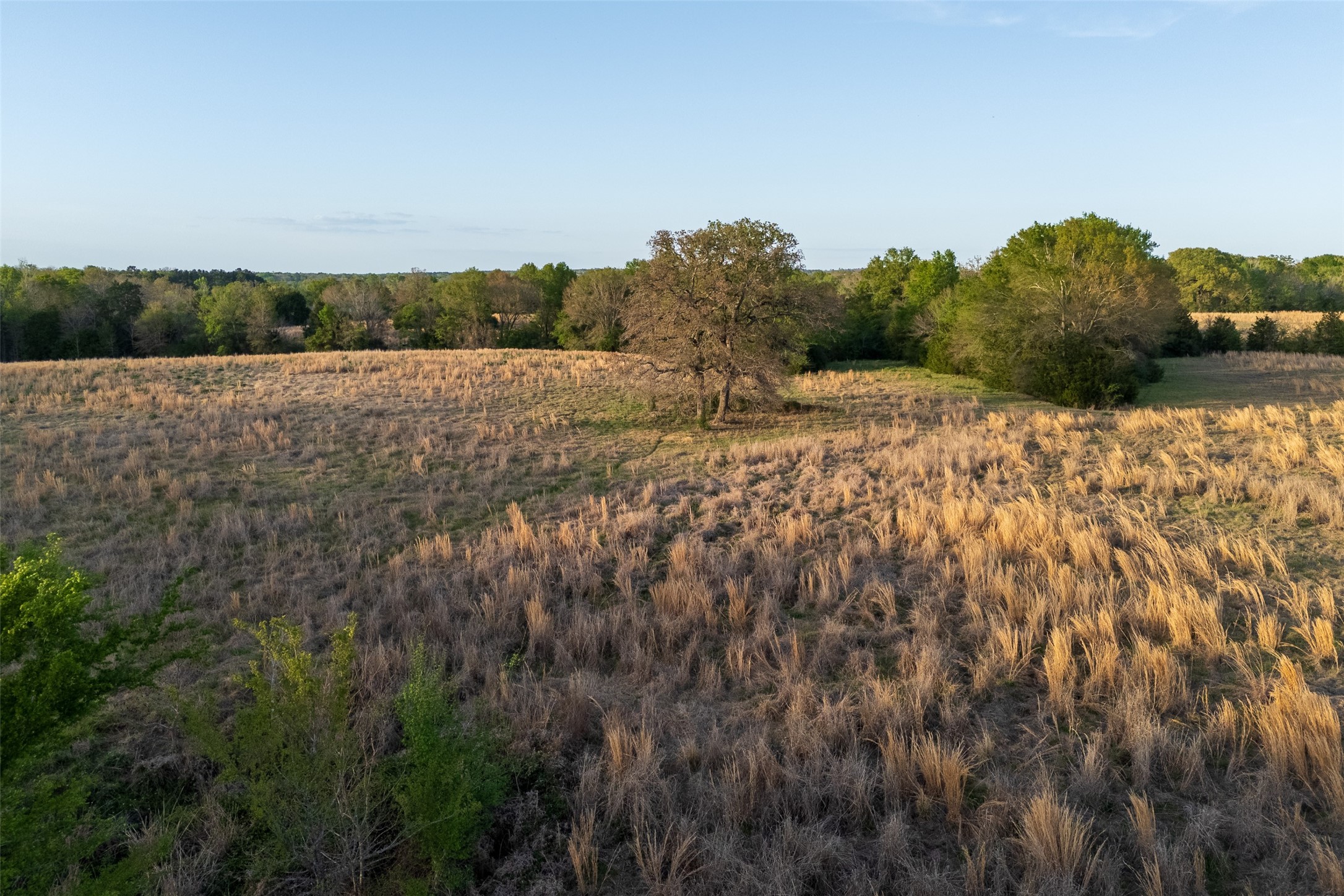00 County Road 117 Elkhart TX 75839