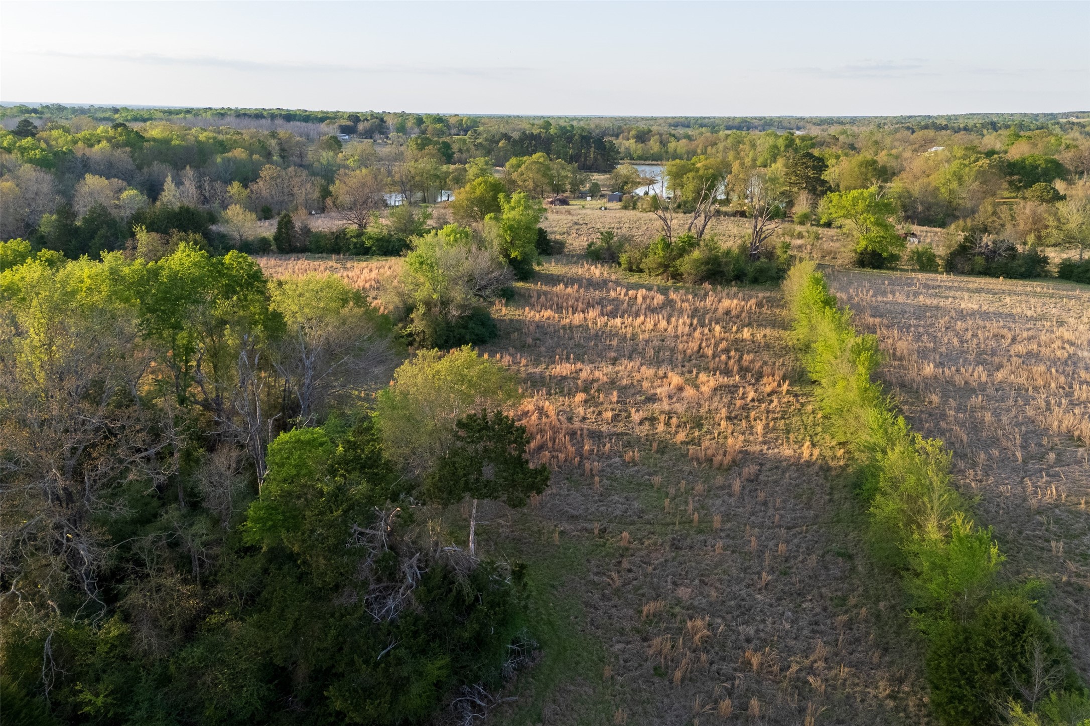 00 County Road 117 Elkhart TX 75839