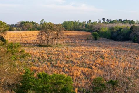 00 County Road 117 Elkhart TX 75839