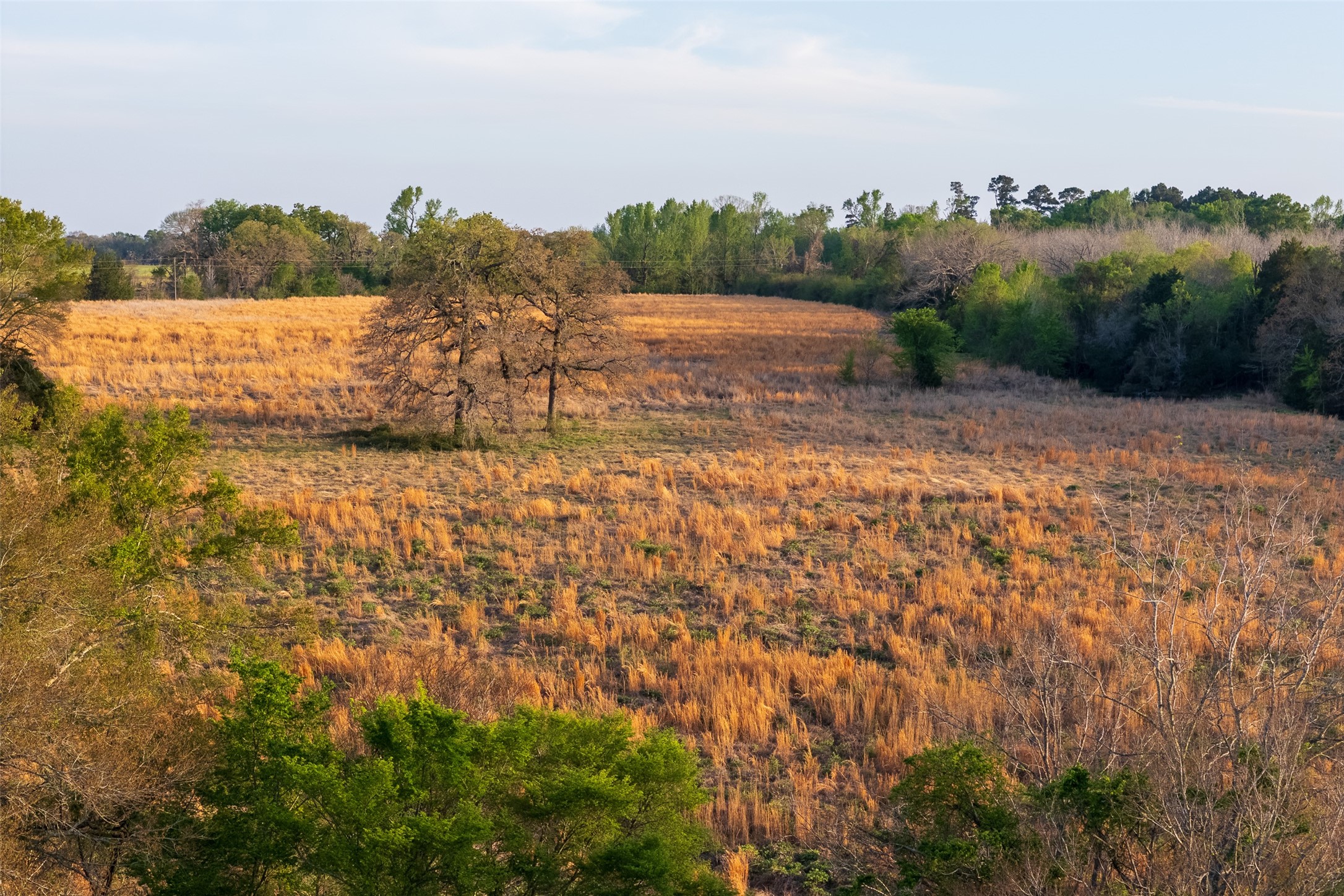 00 County Road 117 Elkhart TX 75839