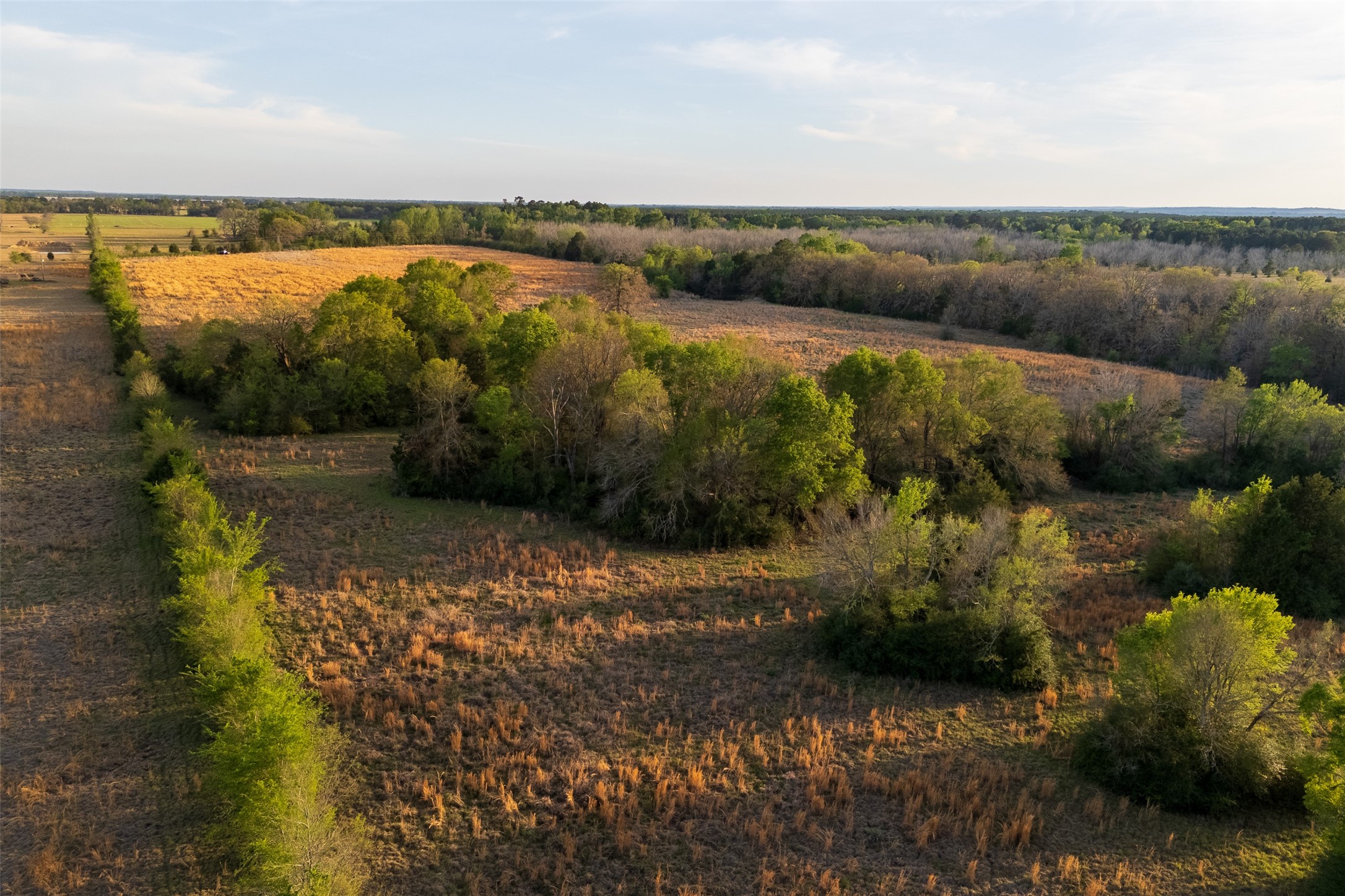 00 County Road 117 Elkhart TX 75839