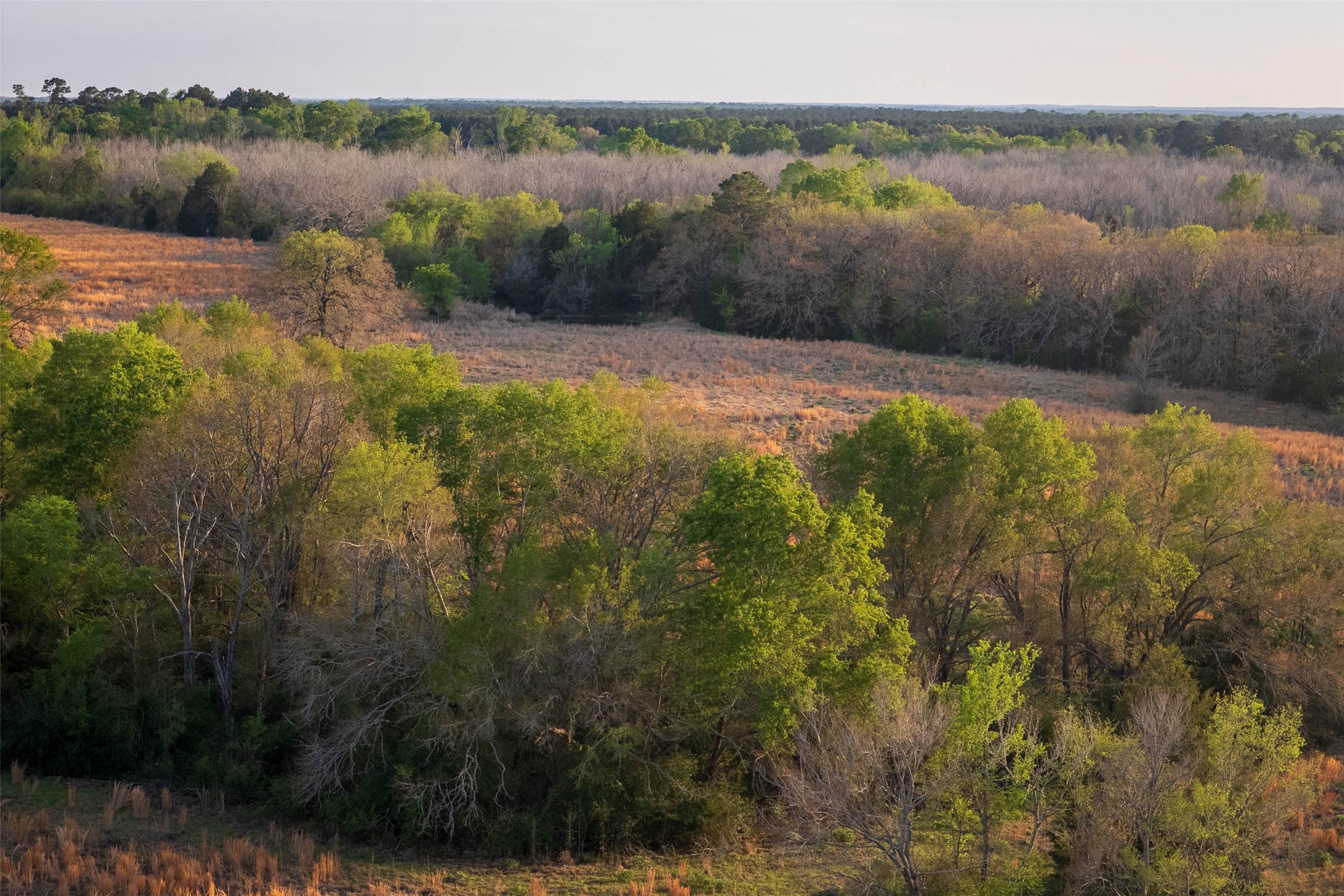 00 County Road 117 Elkhart TX 75839