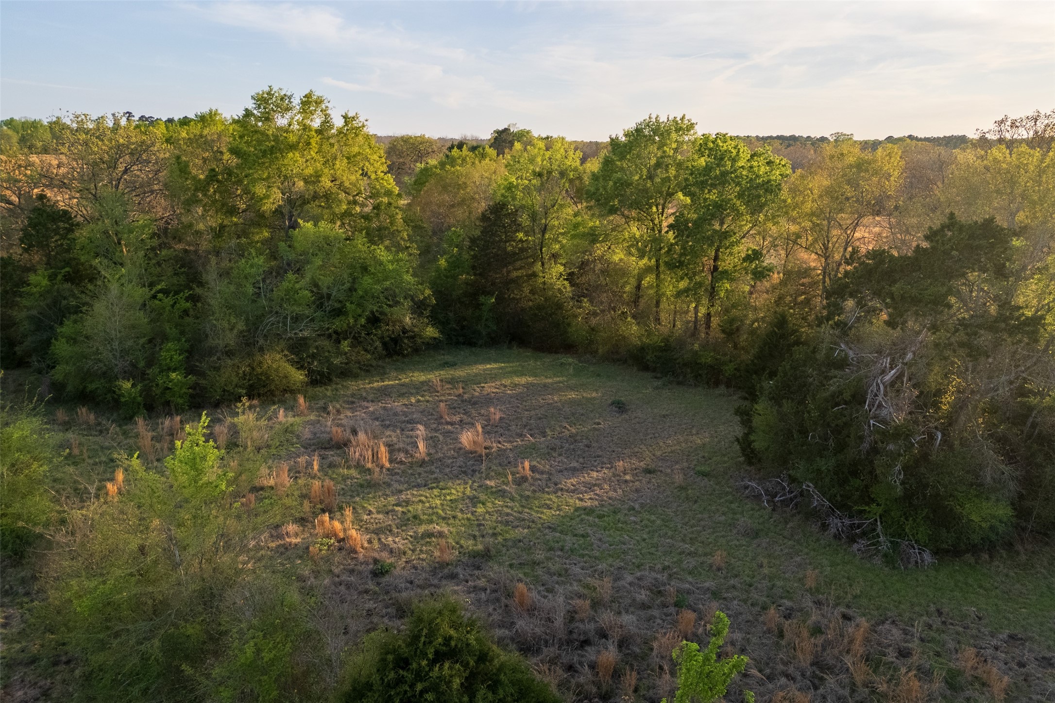 00 County Road 117 Elkhart TX 75839