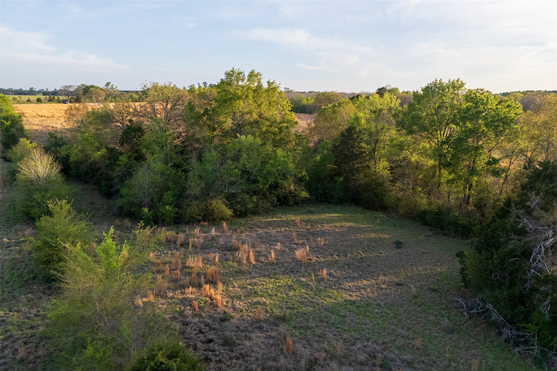00 County Road 117 Elkhart TX 75839
