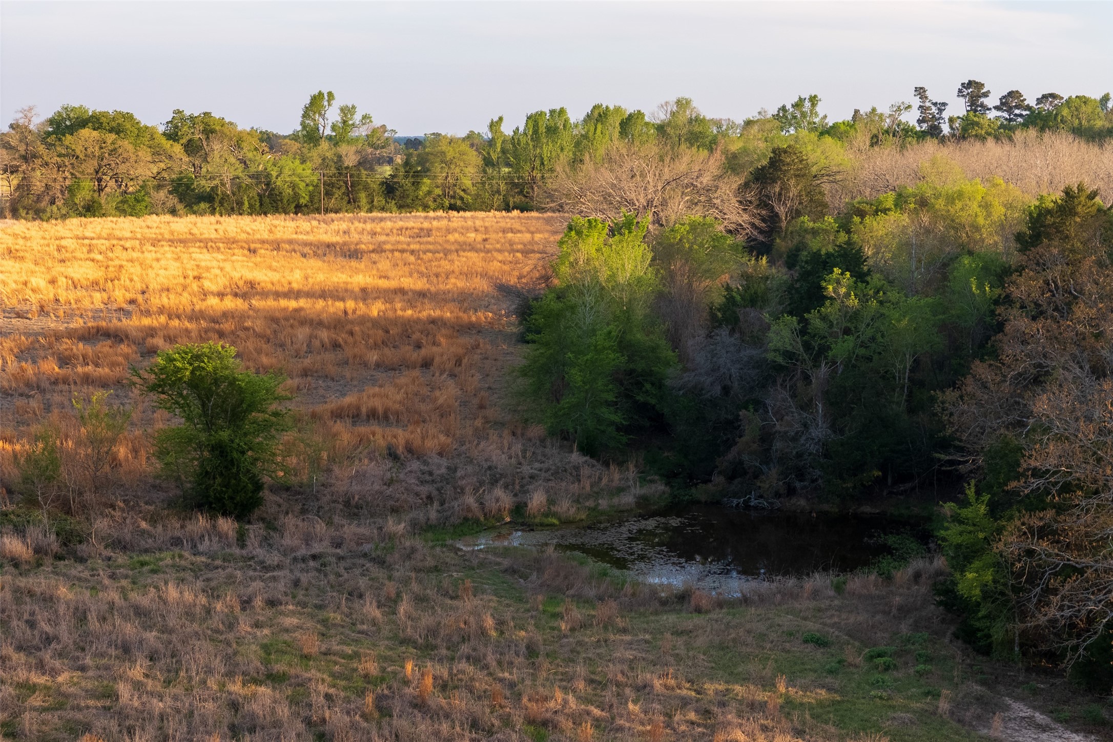 00 County Road 117 Elkhart TX 75839