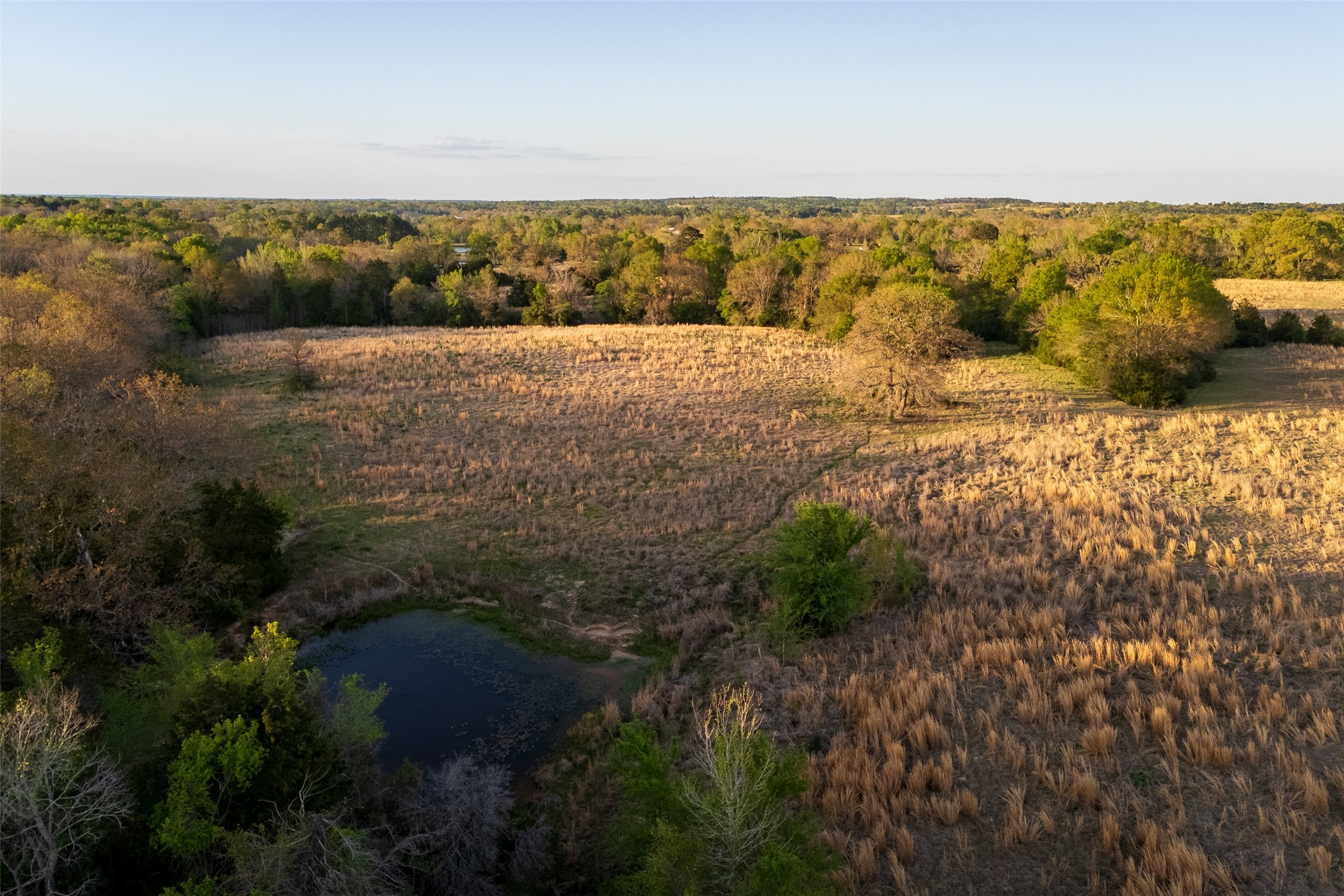 00 County Road 117 Elkhart TX 75839