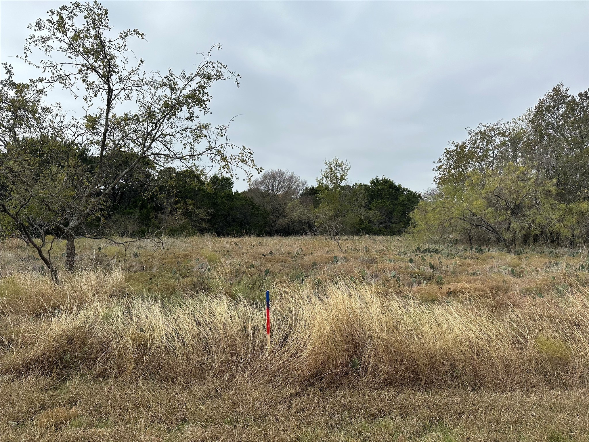 14063 Sandy Oaks Drive Whitney TX 76692