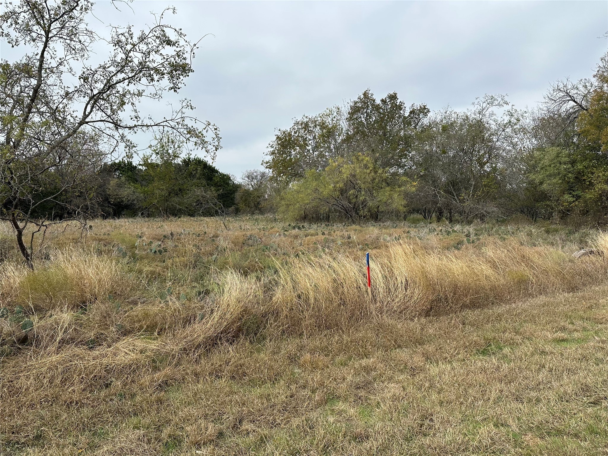 14063 Sandy Oaks Drive Whitney TX 76692