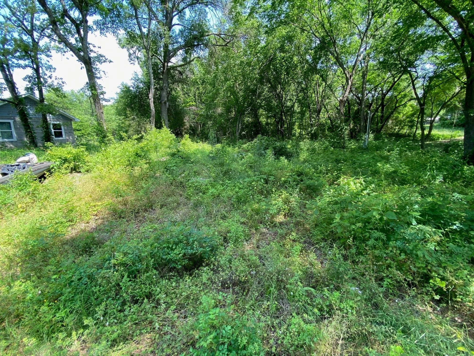 149 Lake Creek Drive Mabank TX 75156