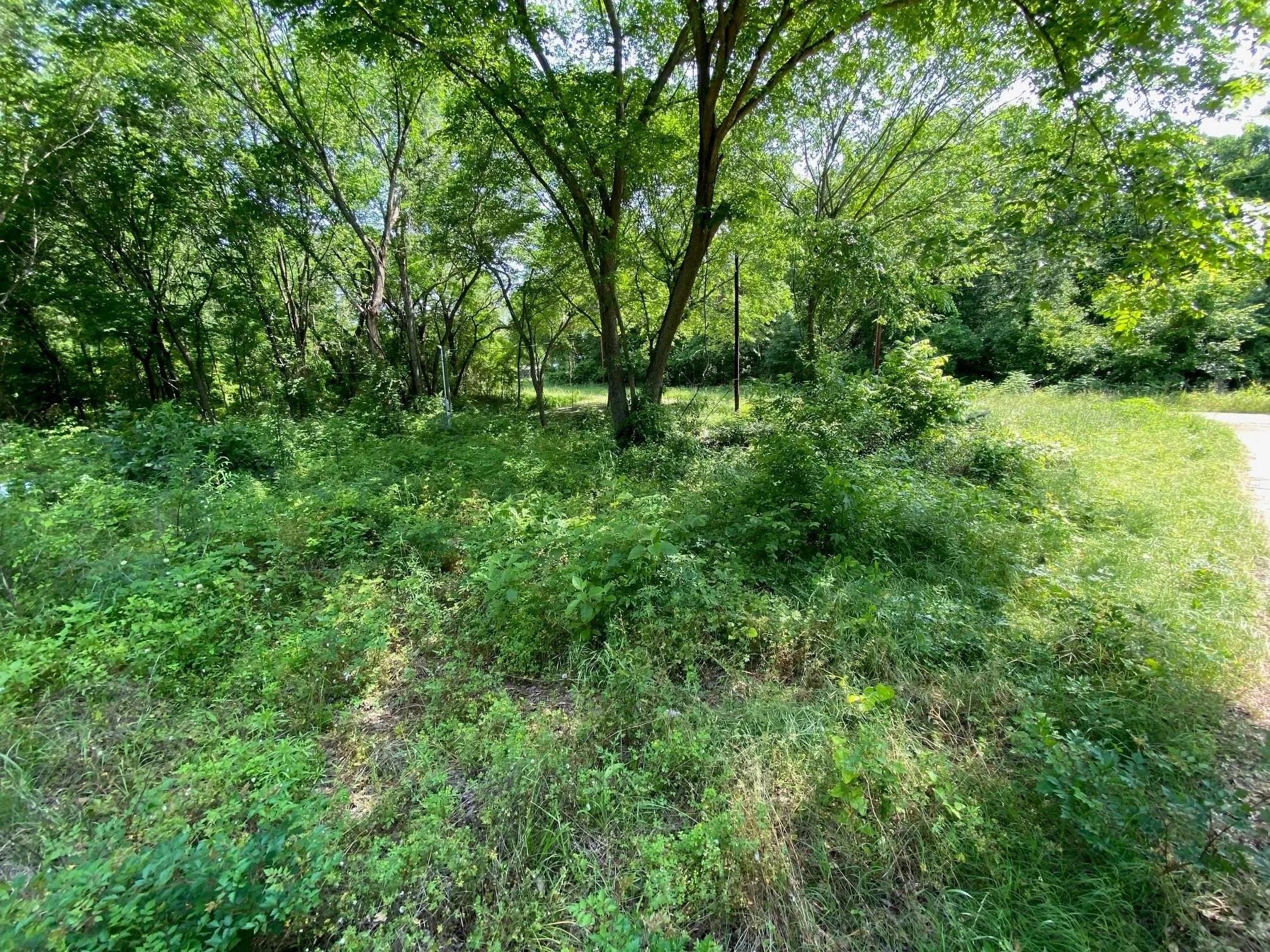 149 Lake Creek Drive Mabank TX 75156