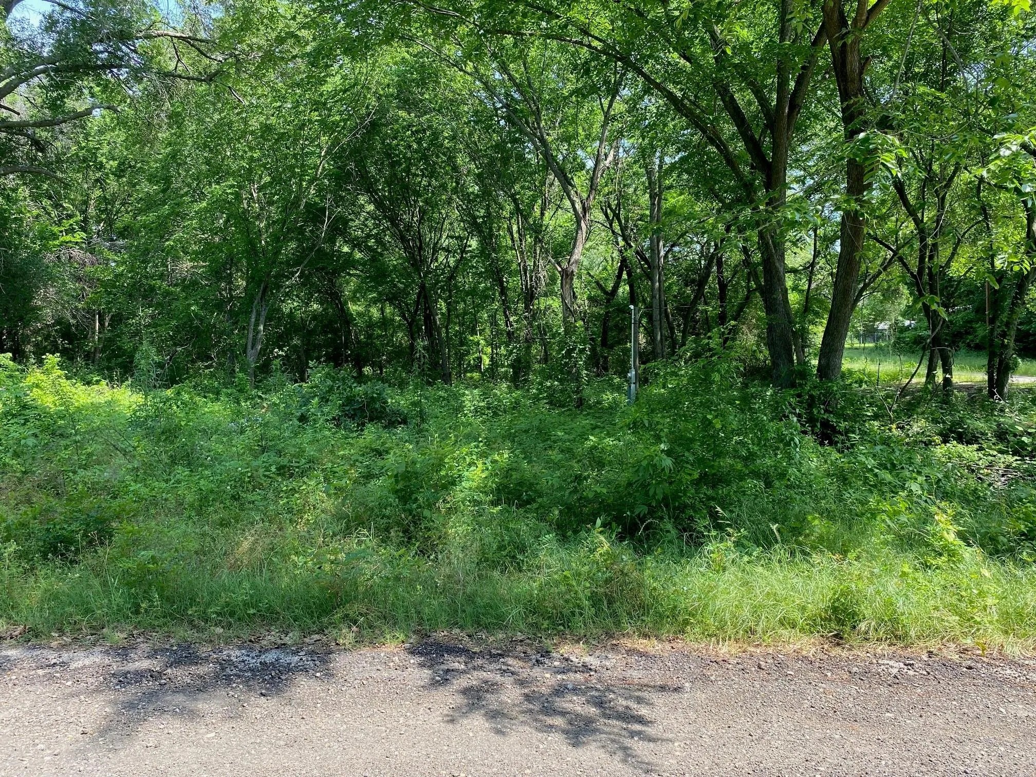 149 Lake Creek Drive Mabank TX 75156