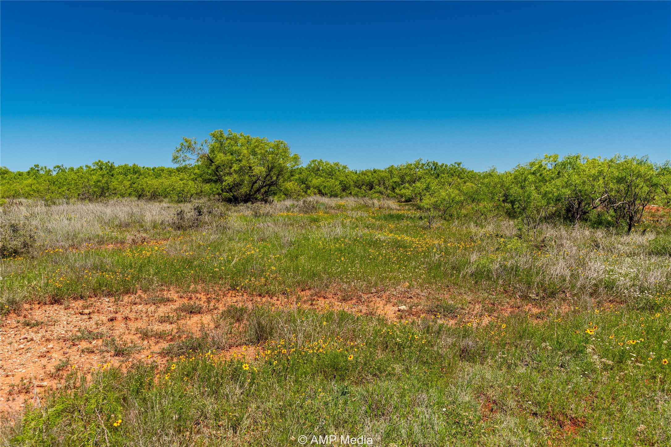 Tbd Fm 600 Haskell TX 79521
