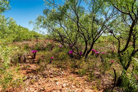 Tbd Fm 600 Haskell TX 79521