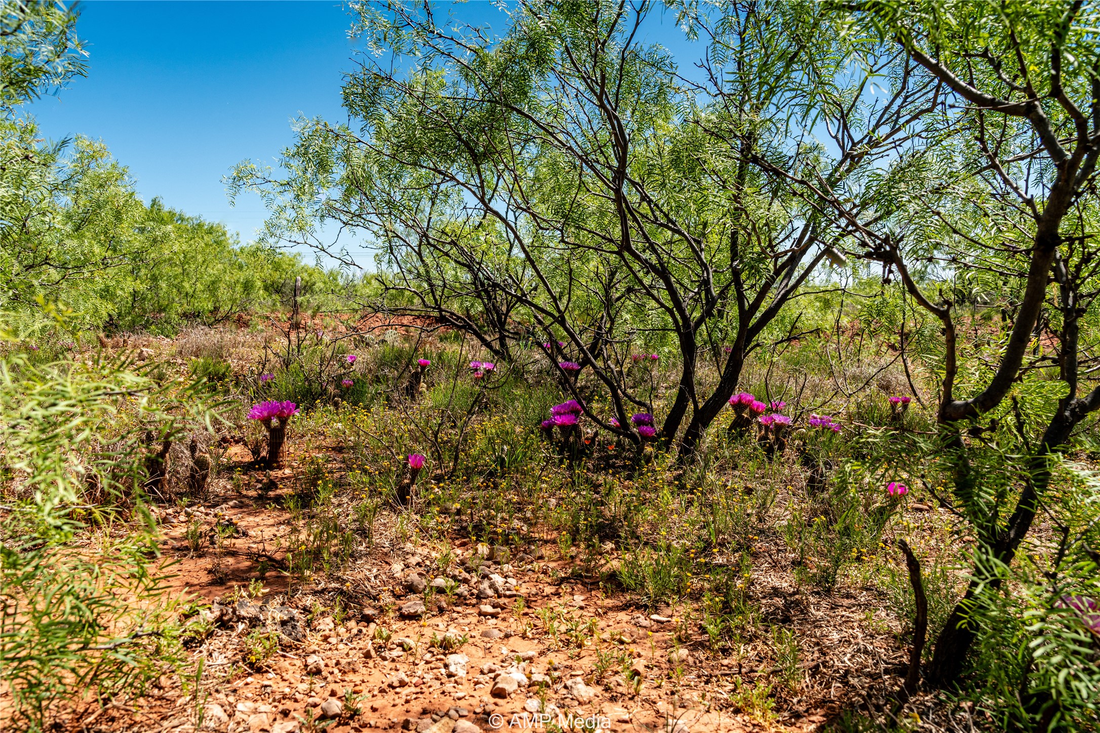Tbd Fm 600 Haskell TX 79521