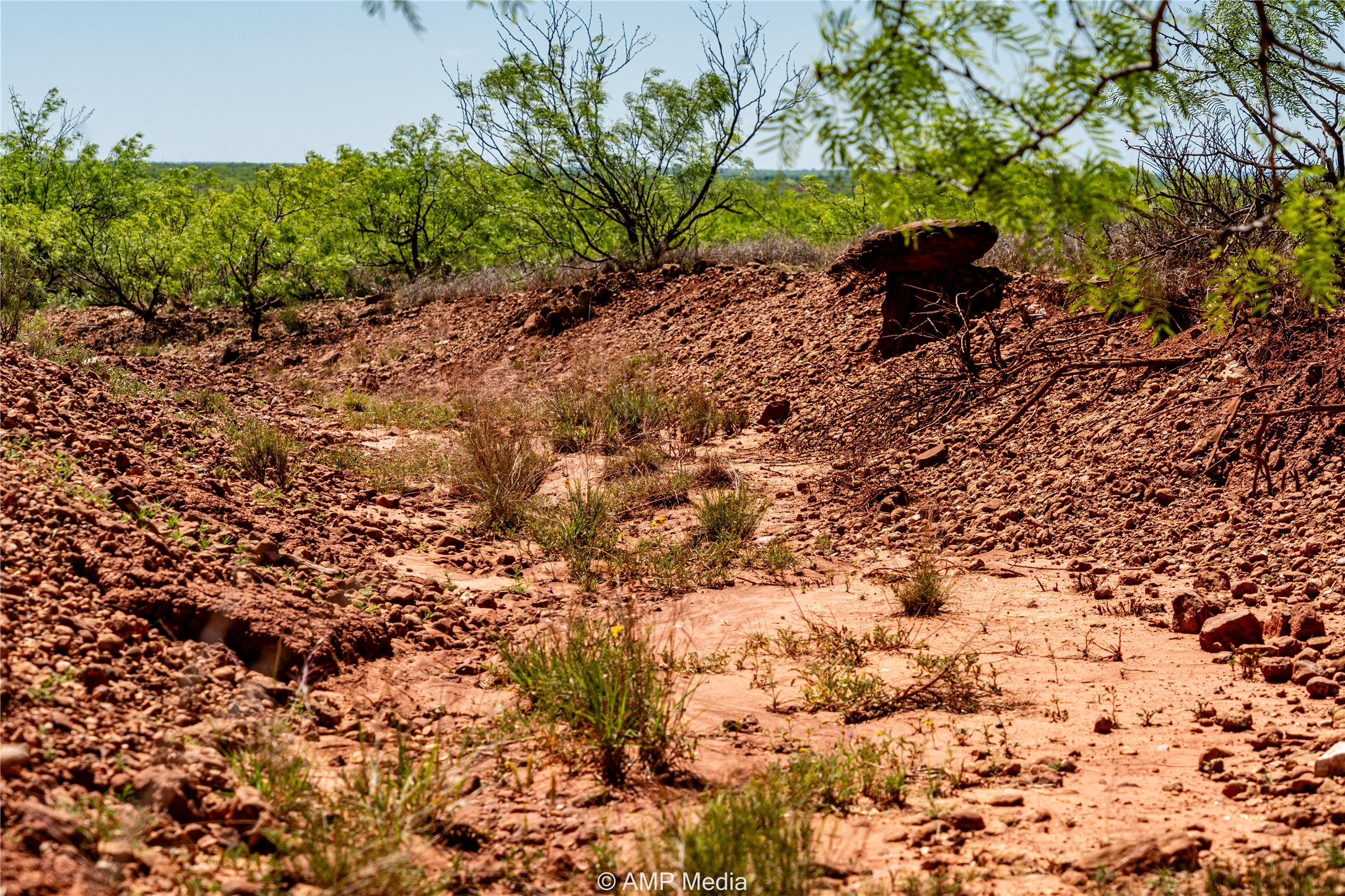 Tbd Fm 600 Haskell TX 79521