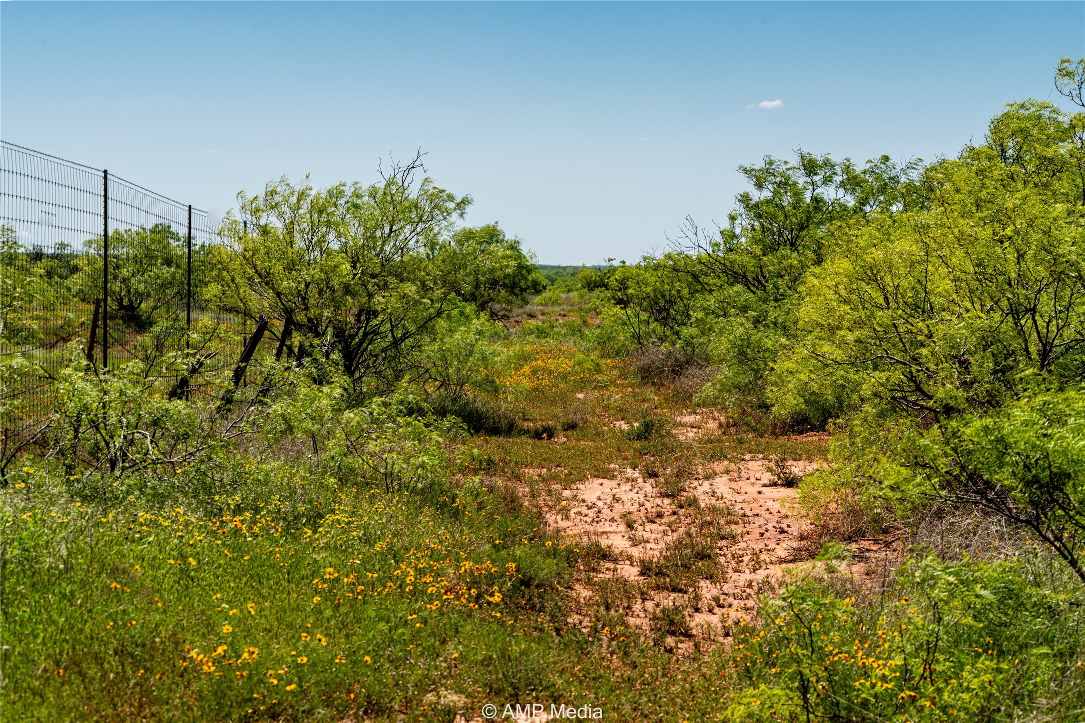 Tbd Fm 600 Haskell TX 79521