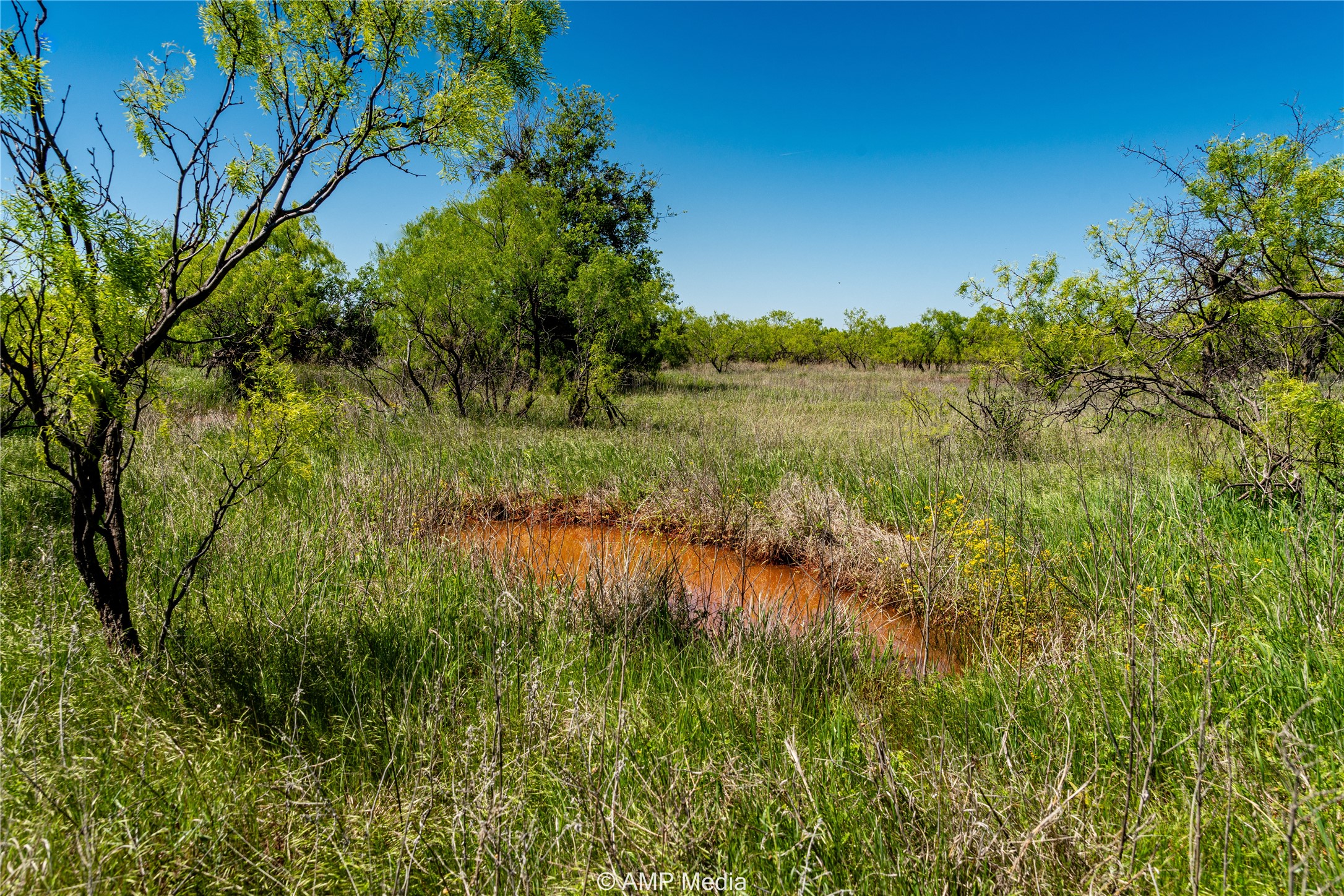 Tbd Fm 600 Haskell TX 79521