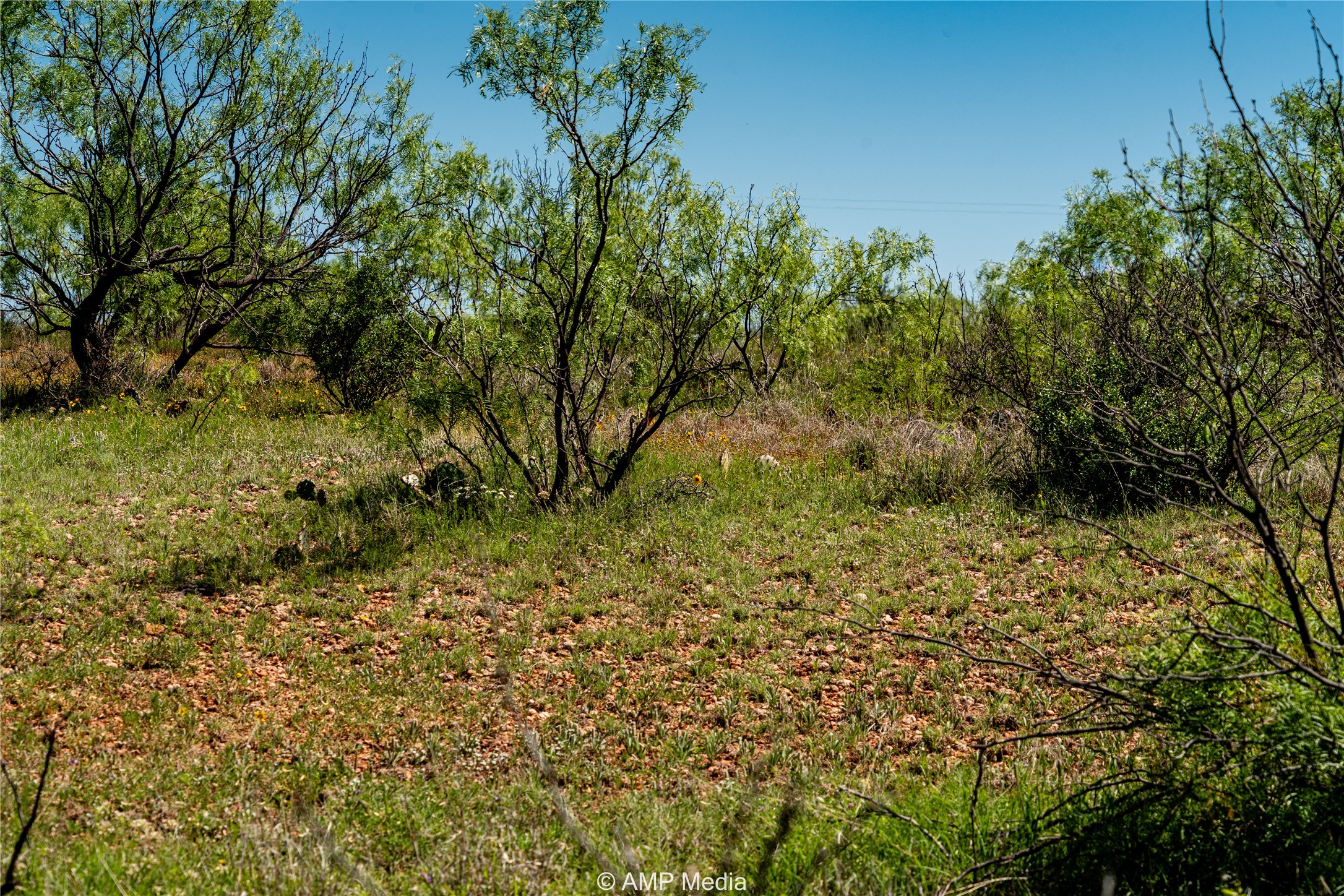 Tbd Fm 600 Haskell TX 79521