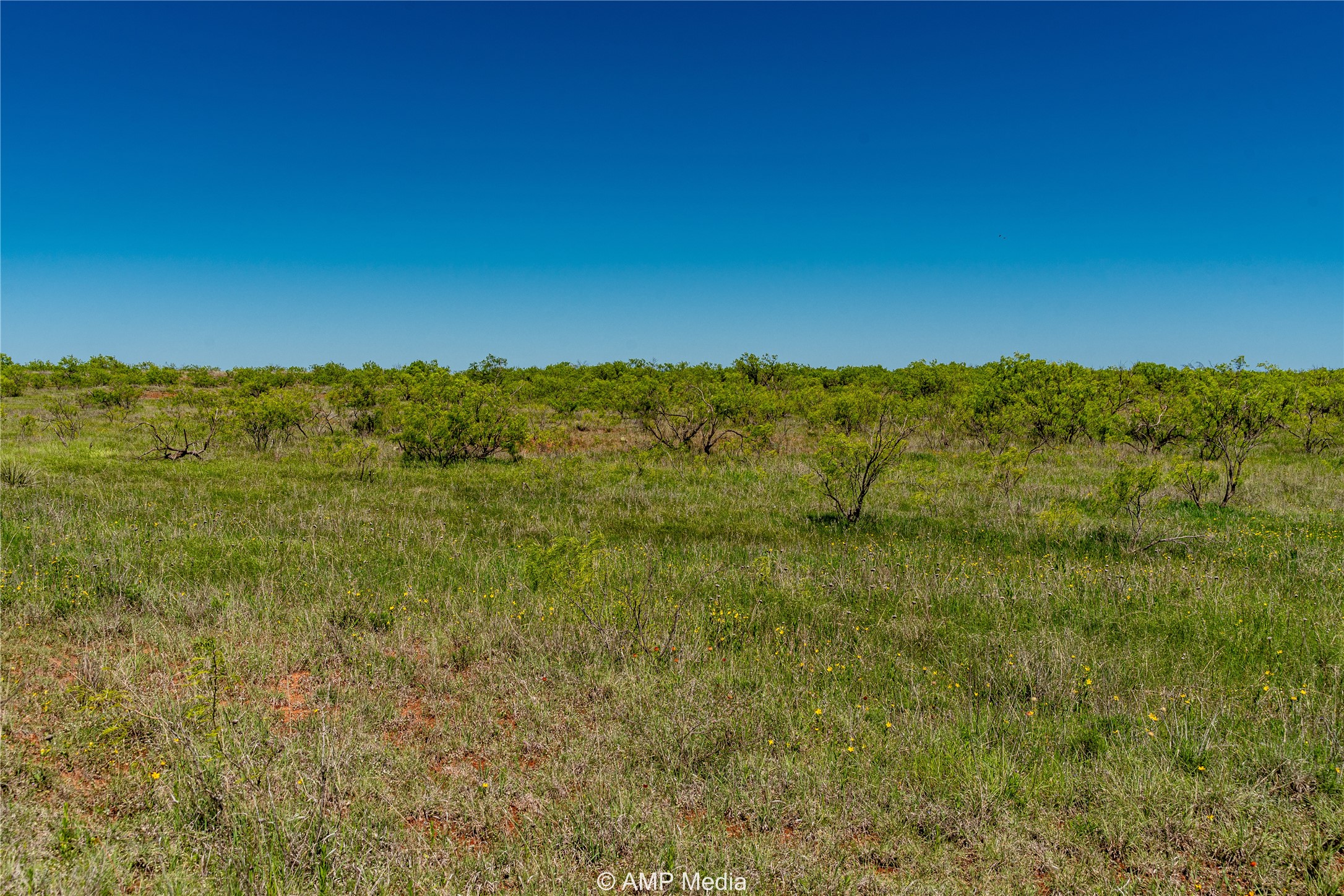 Tbd Fm 600 Haskell TX 79521
