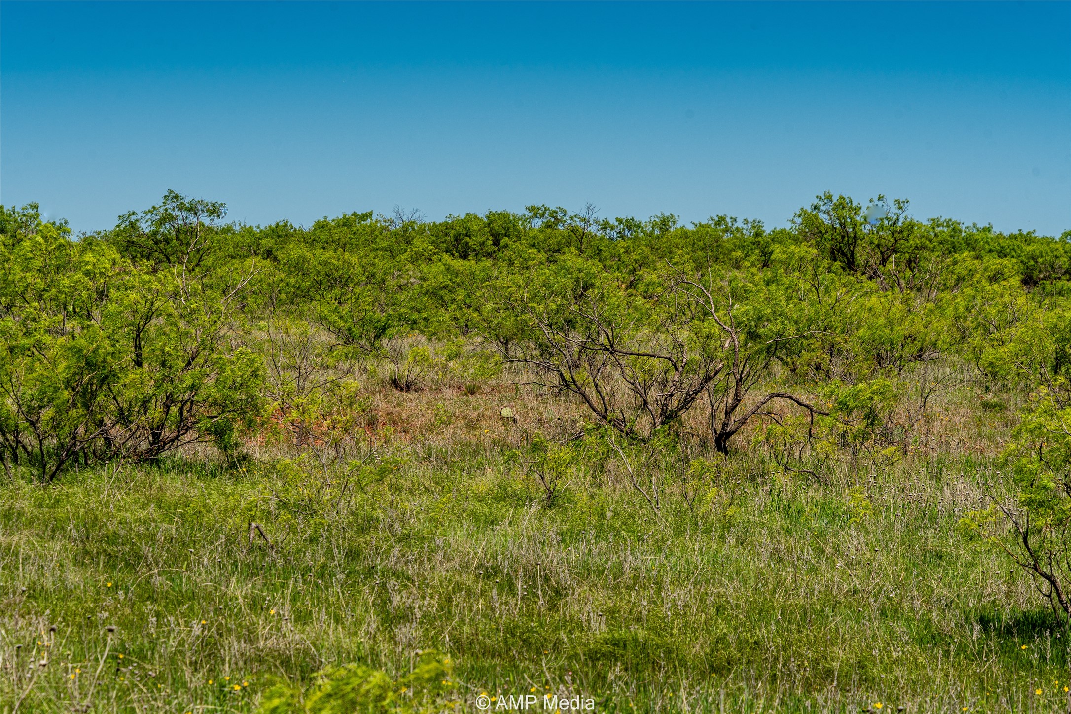 Tbd Fm 600 Haskell TX 79521