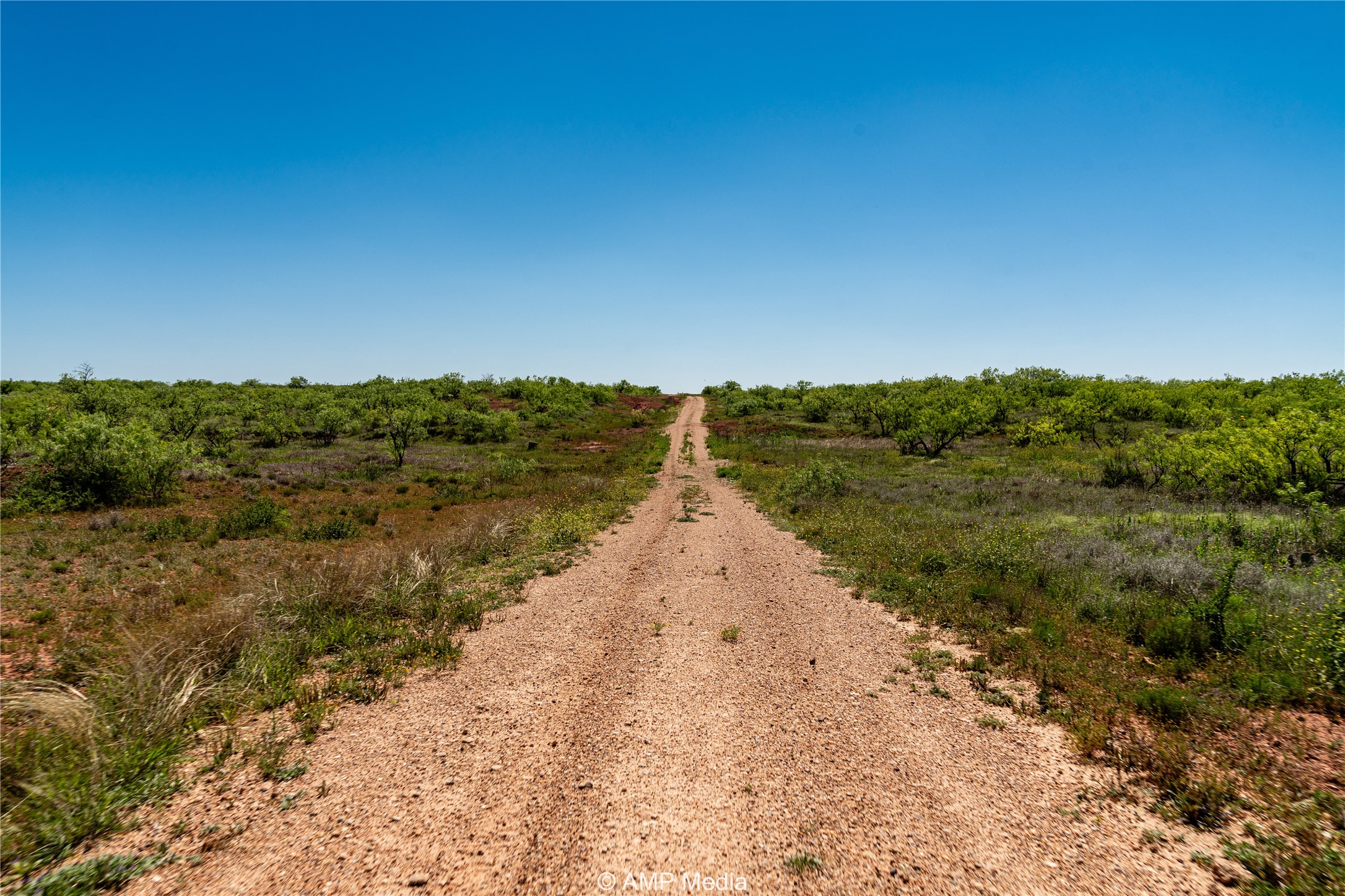 Tbd Fm 600 Haskell TX 79521