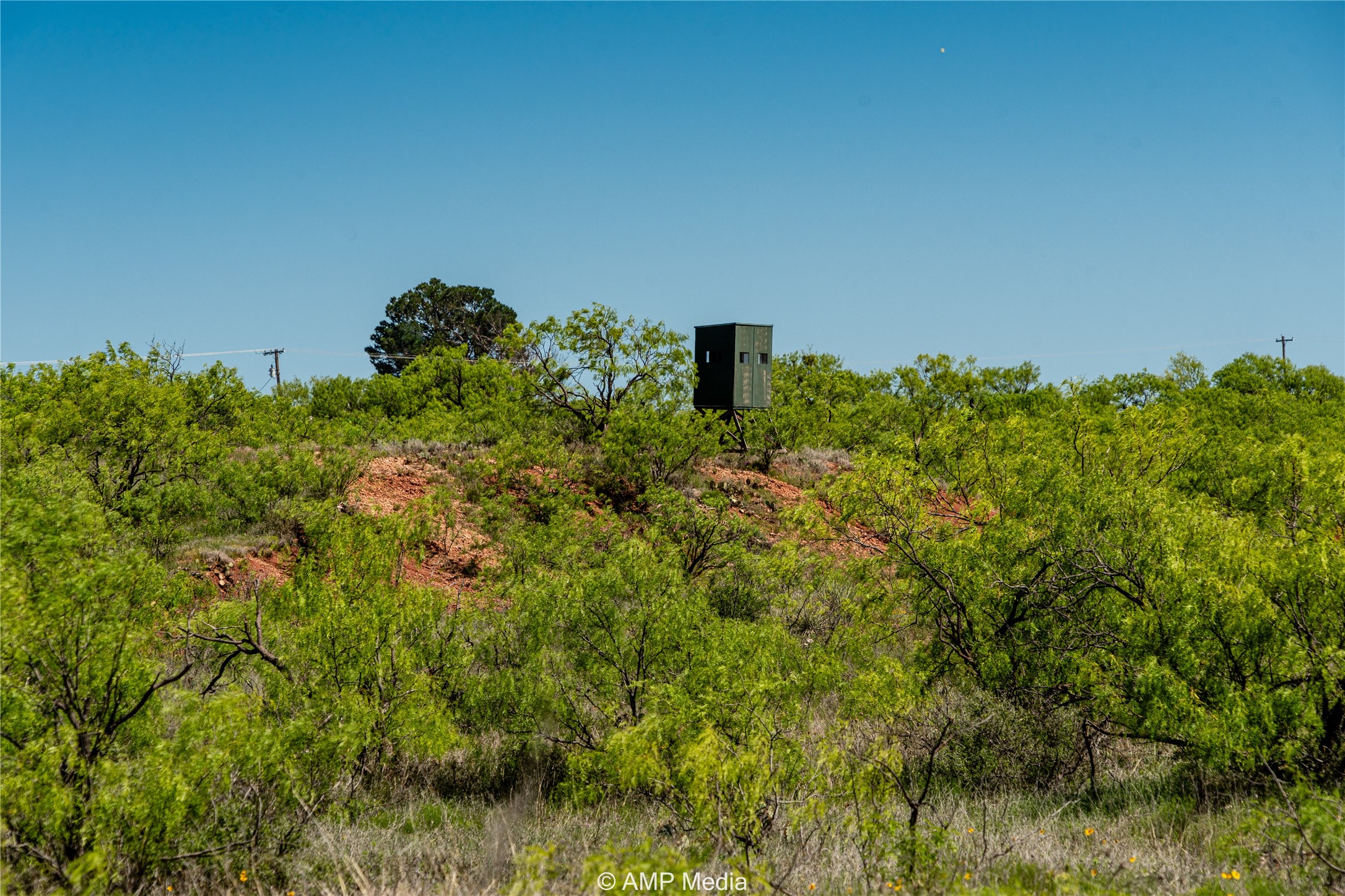 Tbd Fm 600 Haskell TX 79521