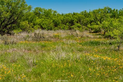 Tbd Fm 600 Haskell TX 79521