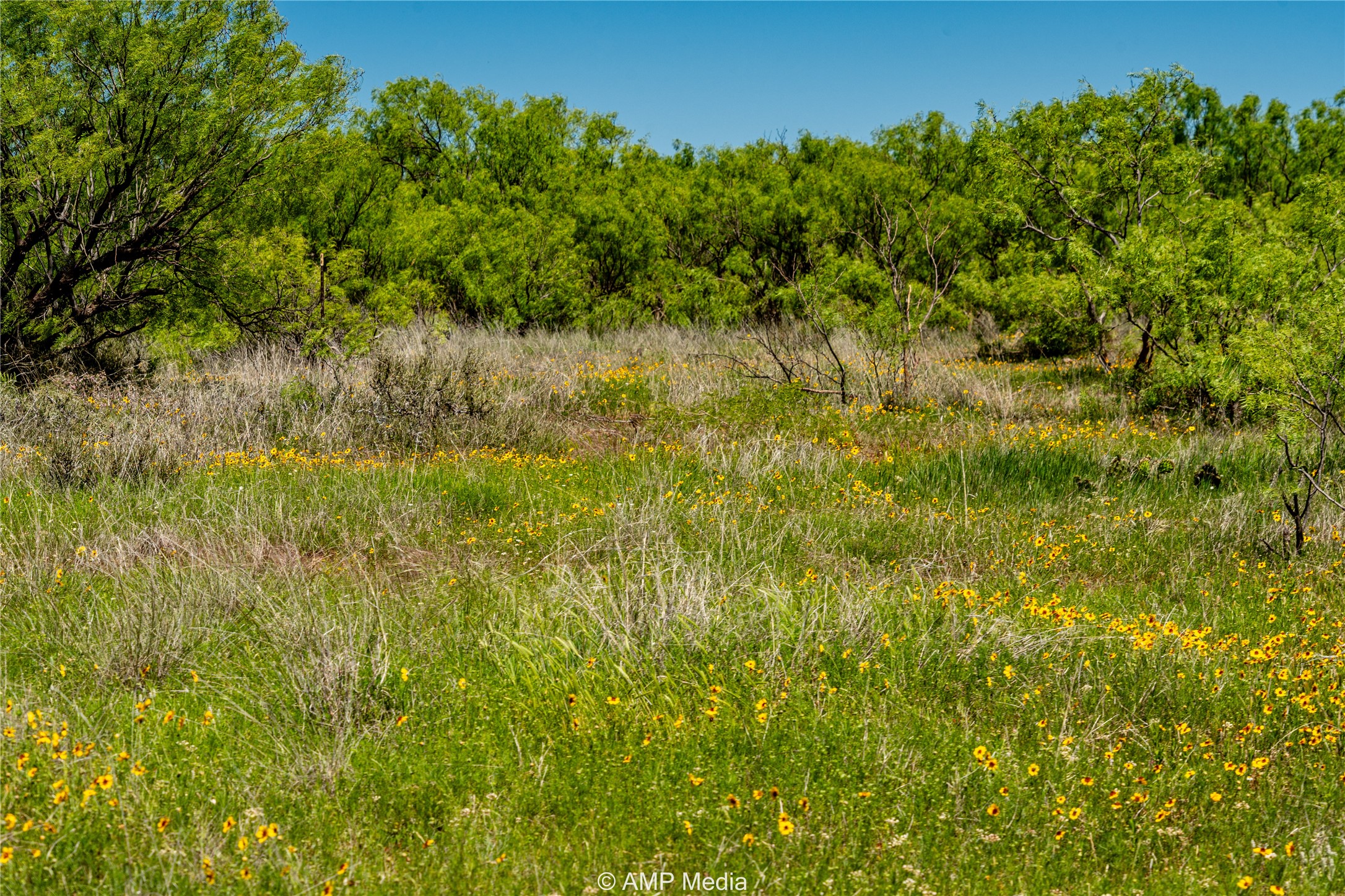 Tbd Fm 600 Haskell TX 79521
